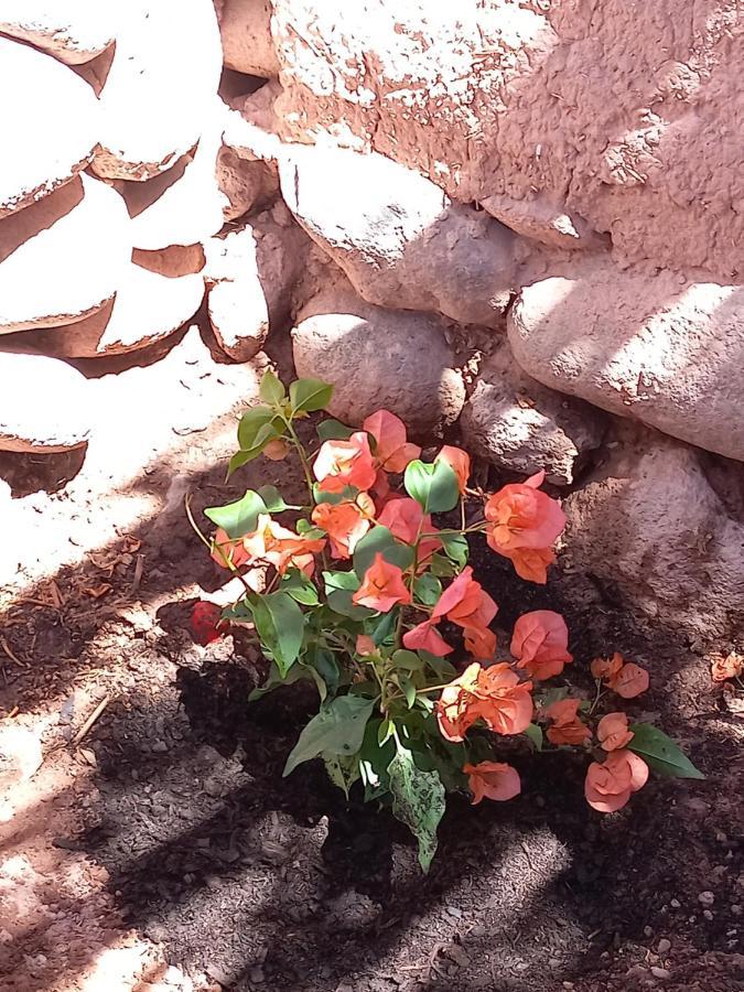 Hotel Casa Buenavista San Pedro De Atacama Esterno foto